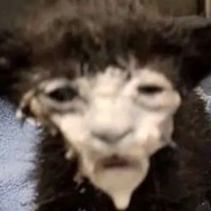 Meet your Posher, Adrianna